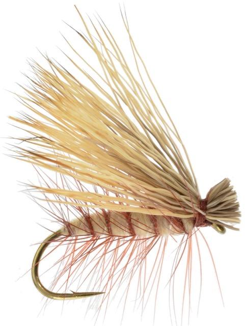 Catch trout all across Canada by imitating these 3 delicious insects ...