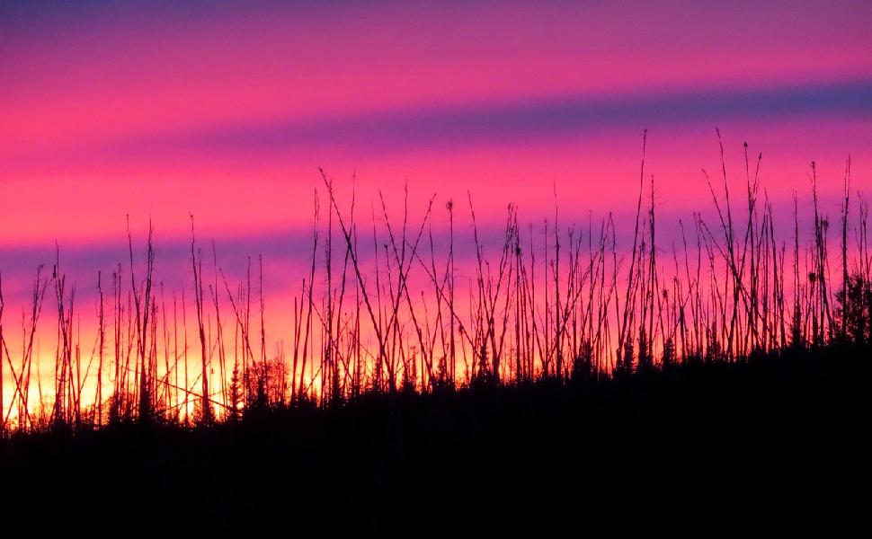 A colourful northern sunset. Credit: Adrian Skok.