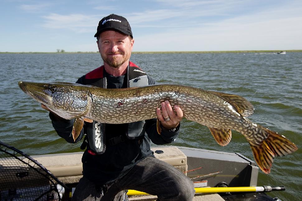 Credit: Fish'N Canada. Another pike for Bowman.