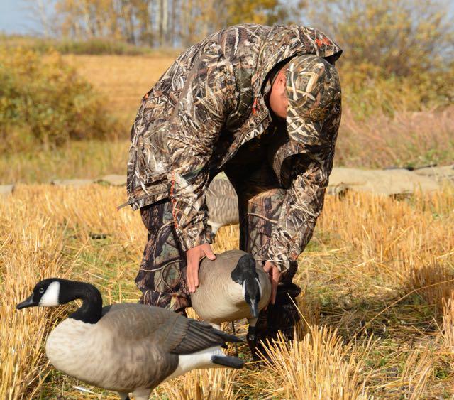 Credit: Ken Bailey. Setting up goose decoys.