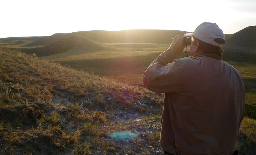 Glass for elk early in the morning from the highest vantage point. Credit: Brad Fenson.