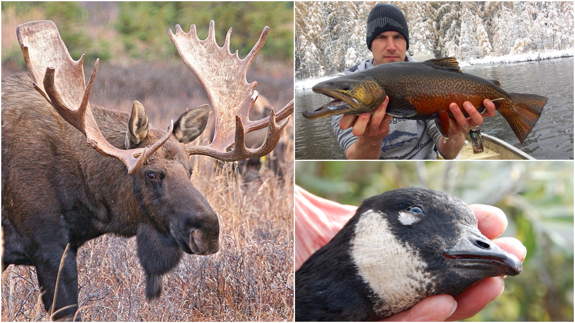 Looking for fall hunting and fishing adventure? Check out these great Canadian getaways