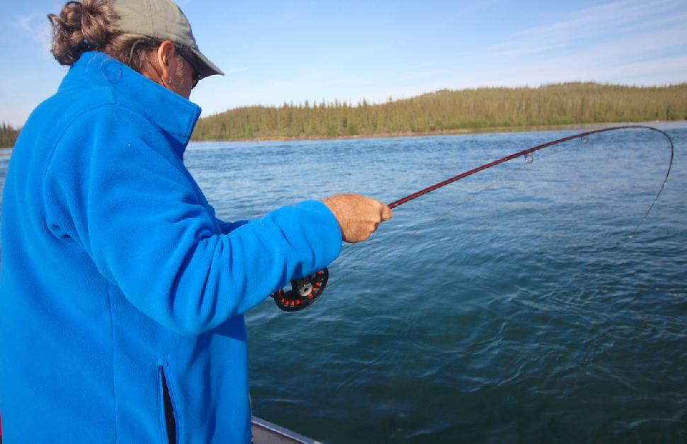 Keep your fly rod flexed at a wide angle. Credit: Scott Gardner.