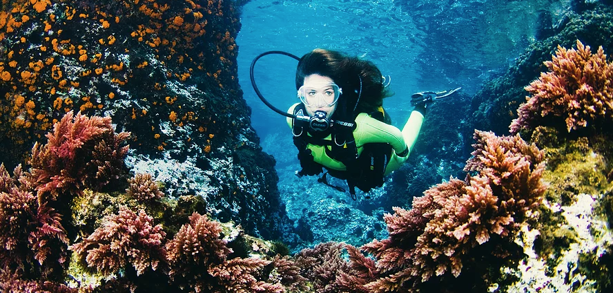 Scuba School and Family Dive Center Belize