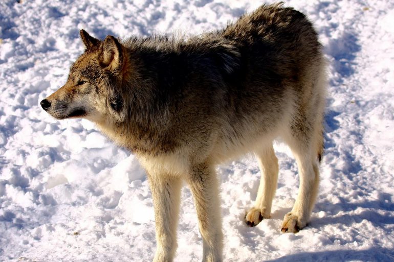 Image Via: Martin Cathrae