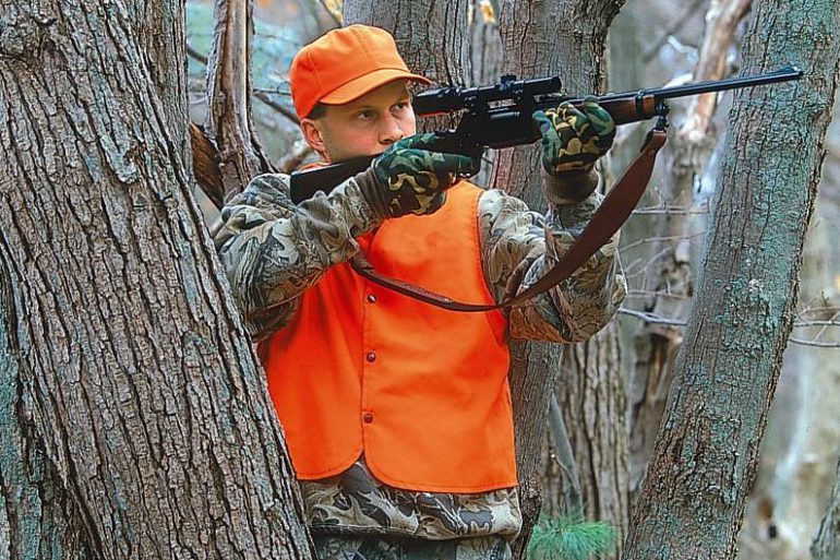 Pick the right calibre for the hunt