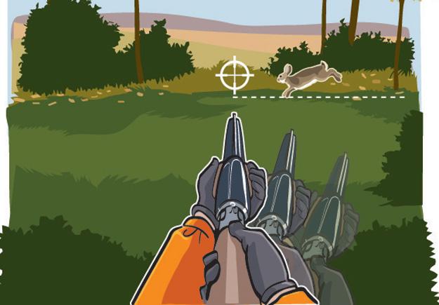 Rabbit-Aiming: Situation 2