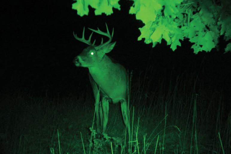 The advantages of night vision