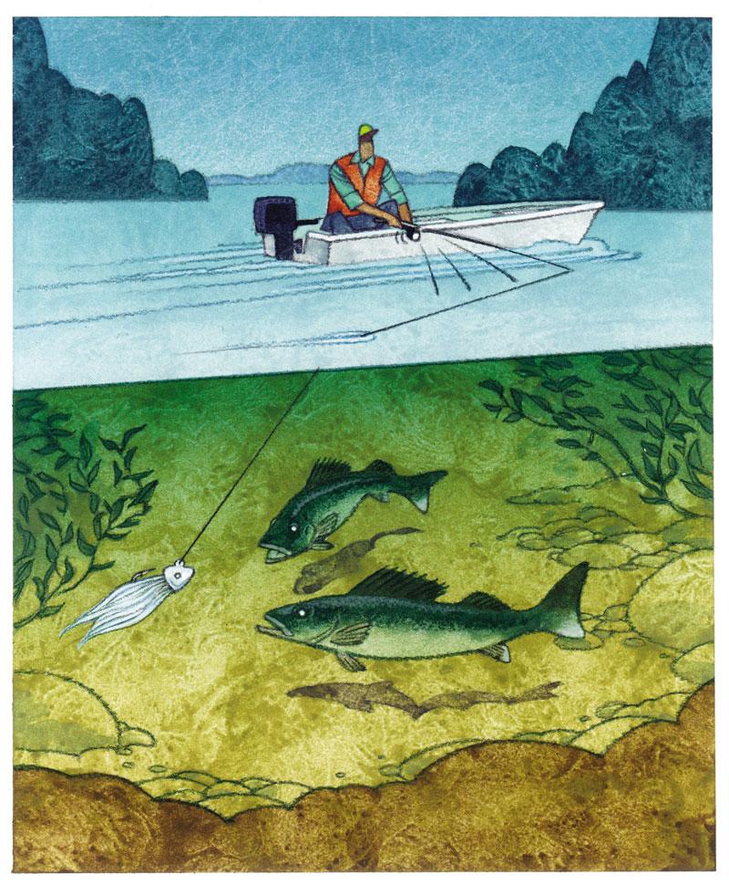 Why Jigging is Better Than Trolling