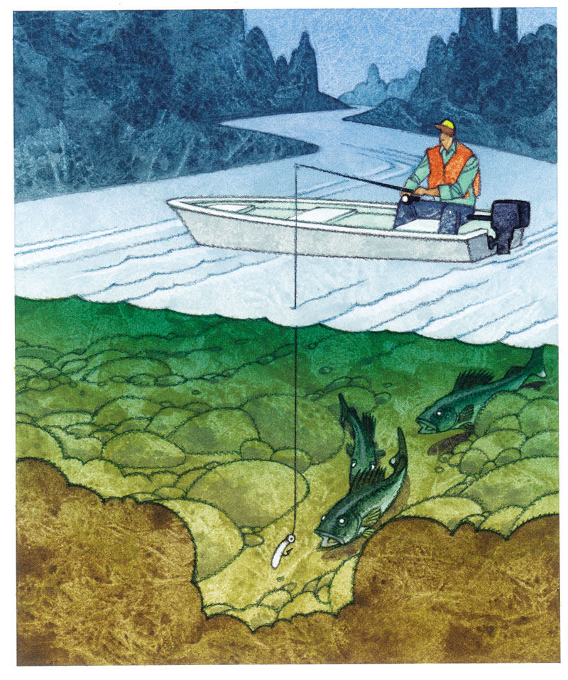 5 top jig-fishing tactics for walleye • Outdoor Canada