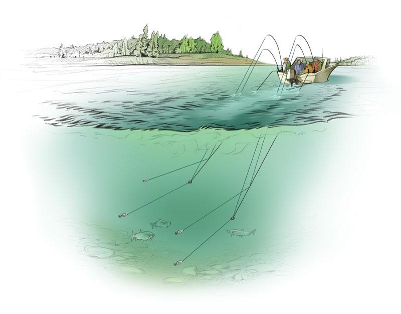 10 Catch-Boosting Trolling Tips