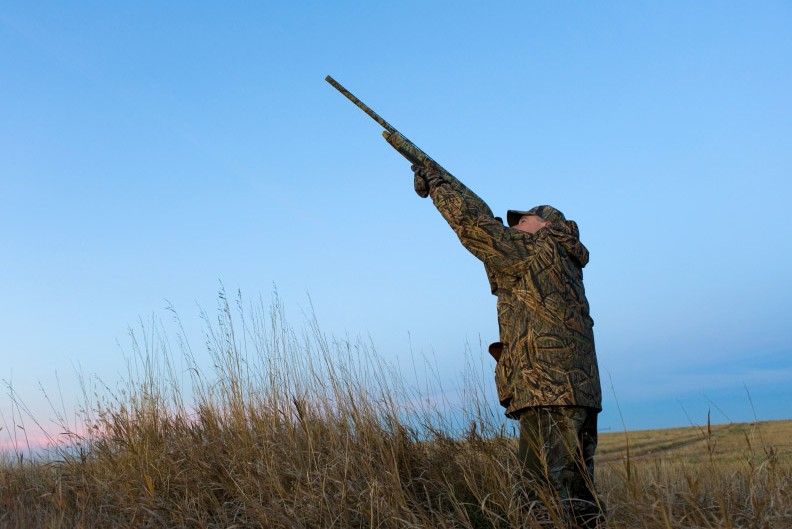 Complete guide to hunting upland birds