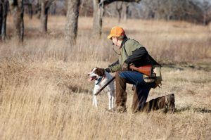 The 5 Best Hunting-dog Breeds • Outdoor Canada