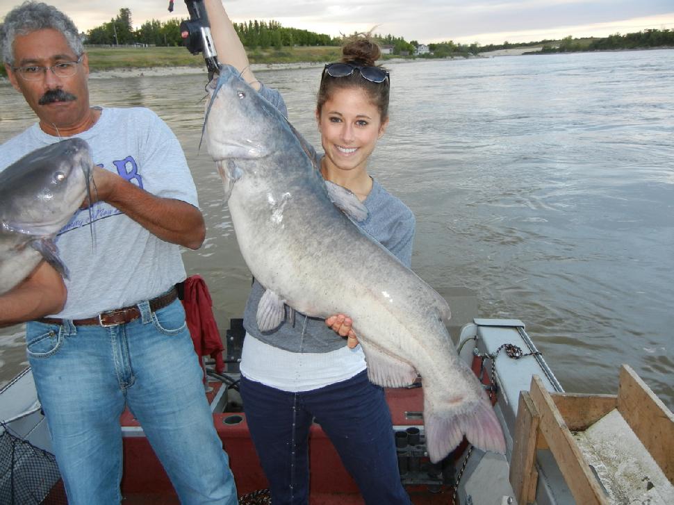 Check the milt spewing out this male channel cat caught the other day