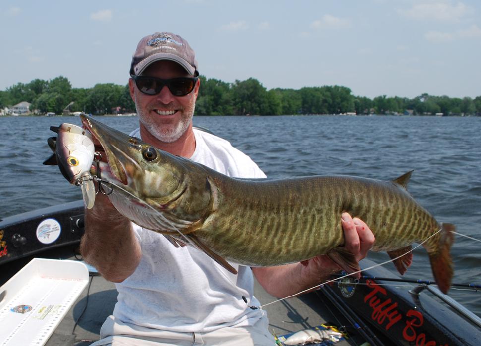 Just another day at the office for buddy Rick Quade, shown here with a musky he caught on one of the new Revolution Shad hard-bodied swimbaits