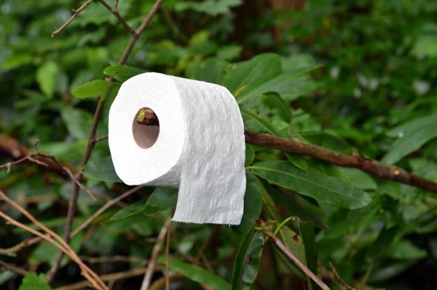 Toilet Paper