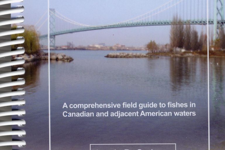 Fishes of Essex County and Surrounding Waters