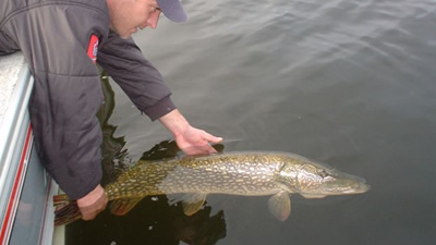 Lake of the Prairies