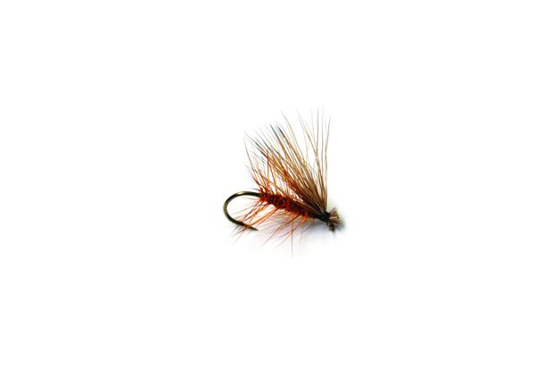 Elk Hair Caddis