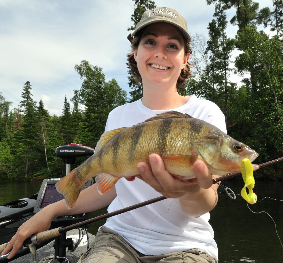 Plentiful, prolific panfish like yellow perch make for meals fit for a king—or a queen!