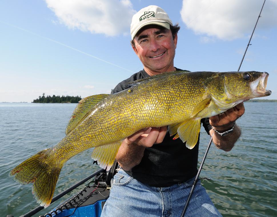 This 31-inch walleye will lay more than 500,000 eggs in the spring, making it much too valuable to kill.