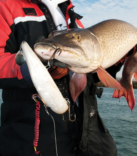 A close-up of Bondy's catch.