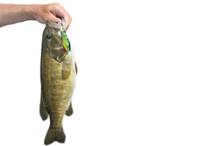 How to land a big bag of bass