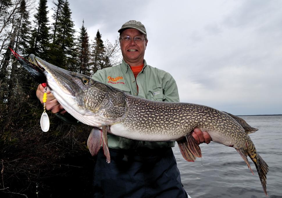 Check out the perfect overcast light conditions when buddy Mark Stiffel landed this big toothy critter.