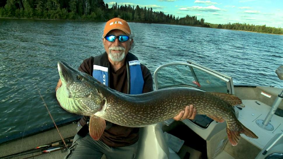 Winefred winner: Angelo Viola and the first 40-inch-plus pike into the boat