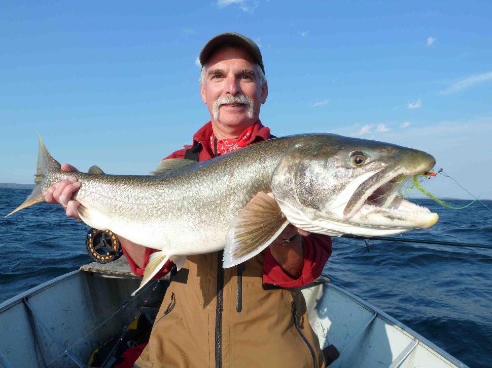 Unofficial catch-and-release record: John Cleveland and his 38-incher, nabbed on 14-pound-test tippet