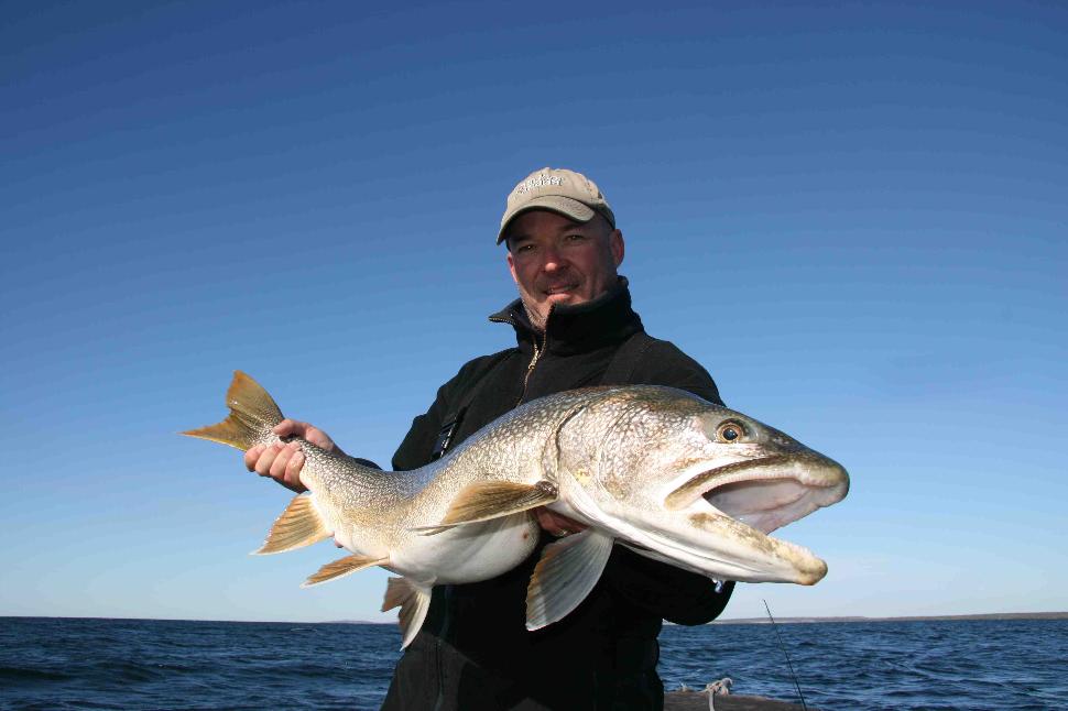 My 40-incher, caught on 17-pound tippet