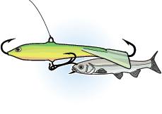  Jigging lure rig