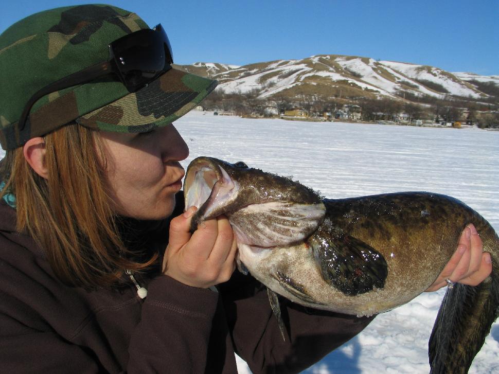 Seems some ice anglers "love" ice fishing for burbot.