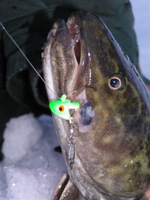 Ice Fishing, 58% OFF