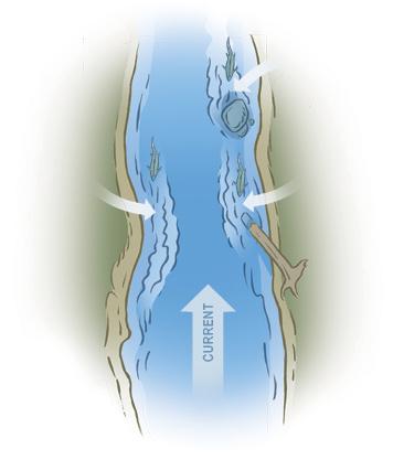 Seams overview