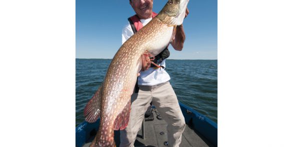 How to catch a trophy northern pike