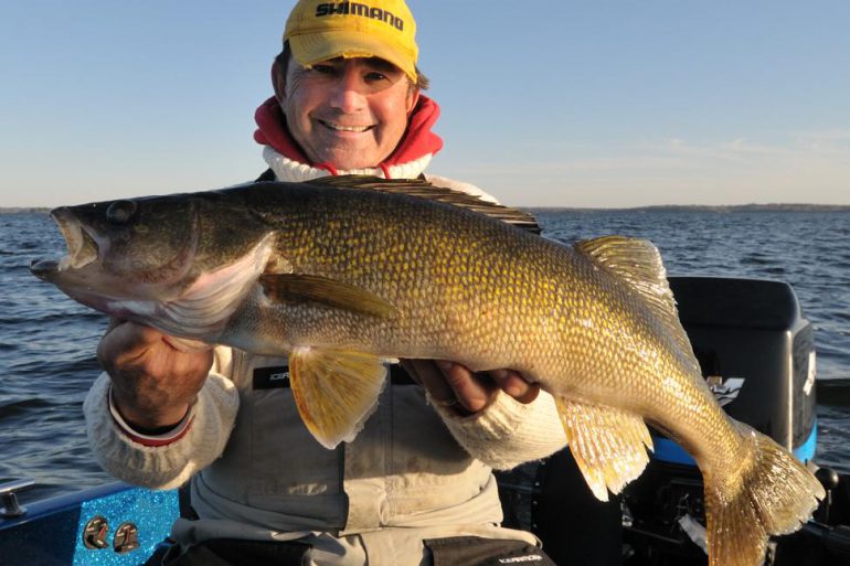 Rainy Lake is one of the best "drive to" walleye fisheries in North America right now