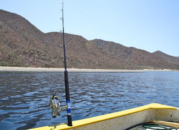 Trolling in the desert