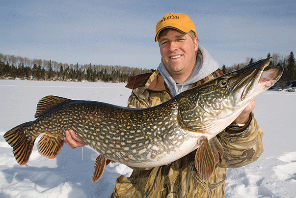 An efficient way to store ice fishing rods 