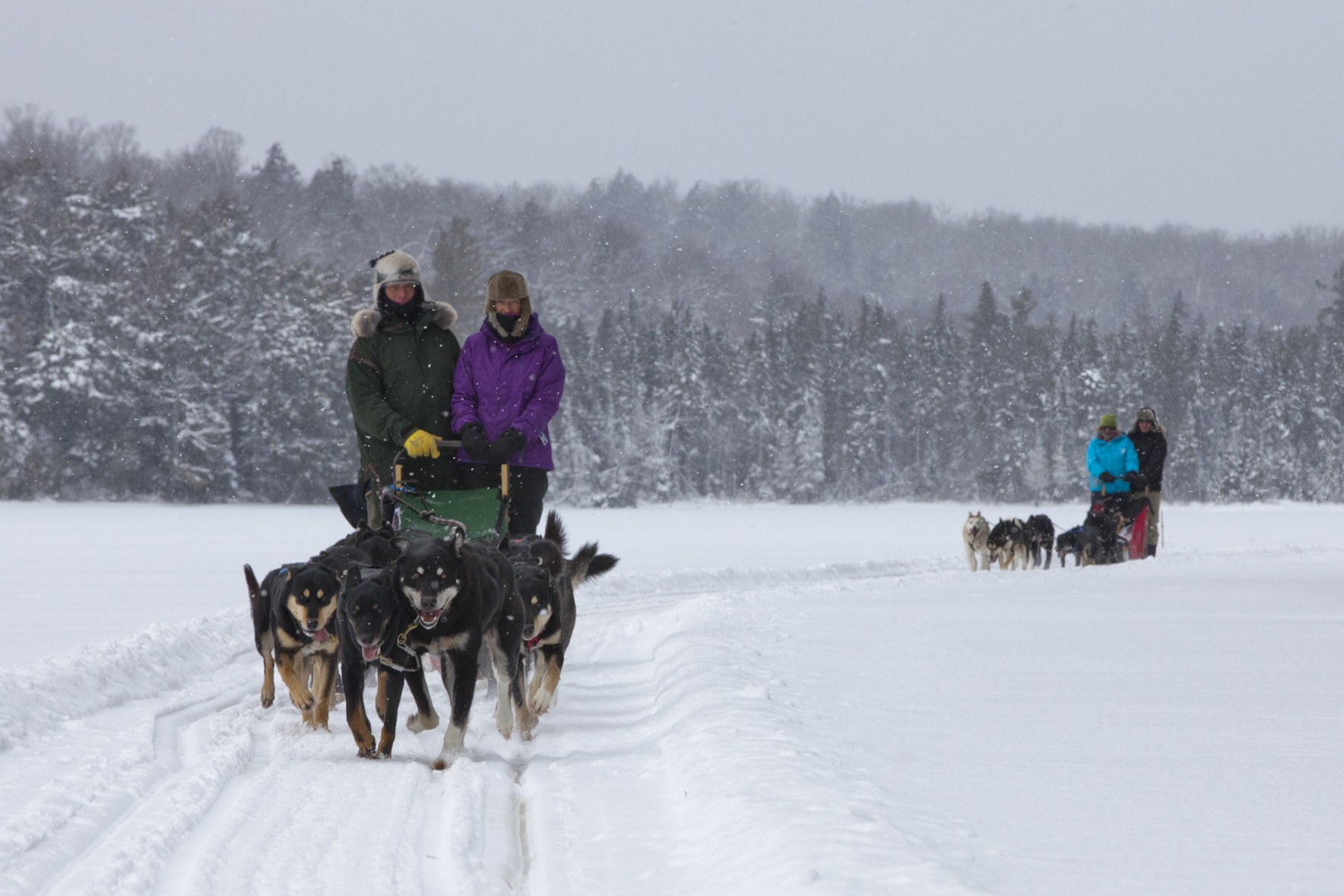 Dog sledding