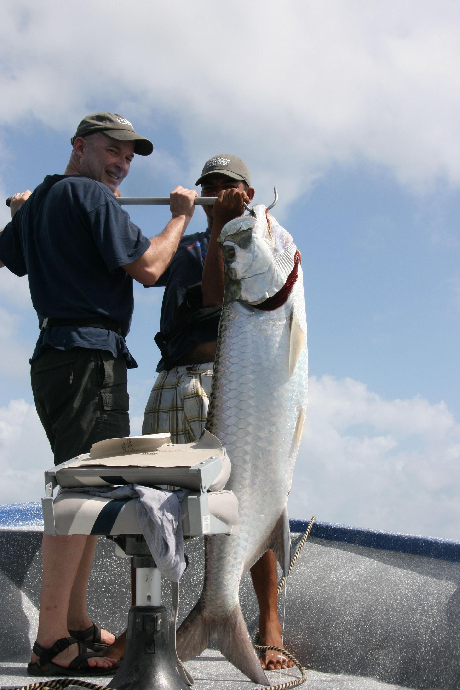 My 80-pounder, in the boat! It took both me and guide Denis Williams to pull into the boat for a quick few photos before releasing it. And don't worry, the gaff was in the cartilage, and the mark should be healed over in no time, I'm told.