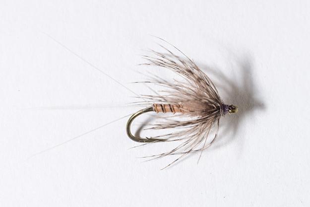 Hendrickson Soft-hackle Dry