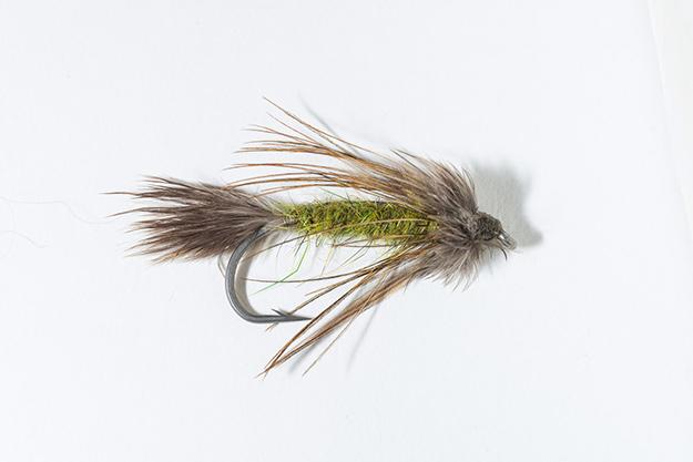 Saddle Hackle – Out Fly Fishing