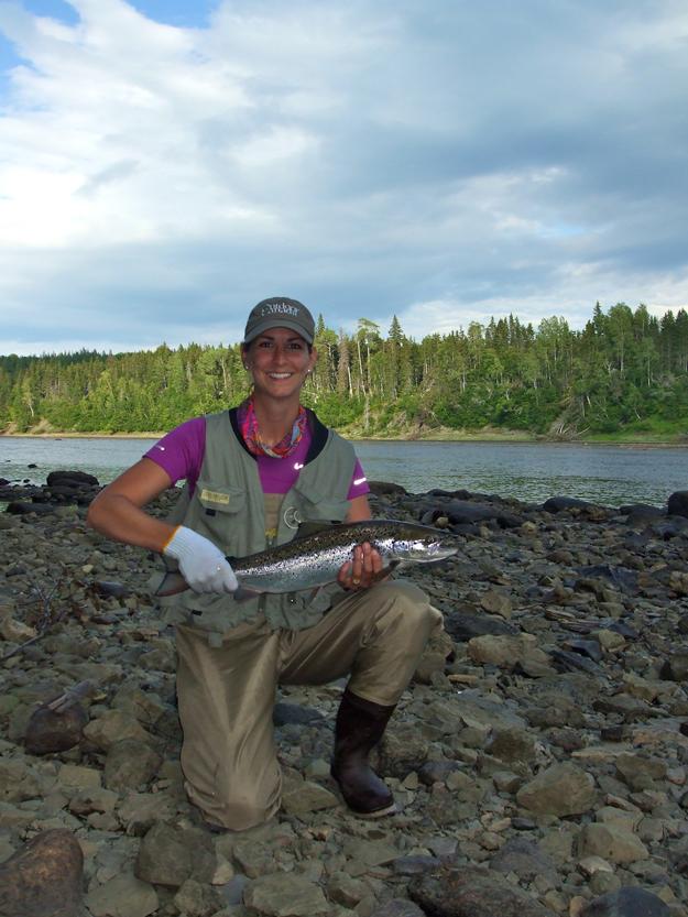 Humber River Atlantic salmon