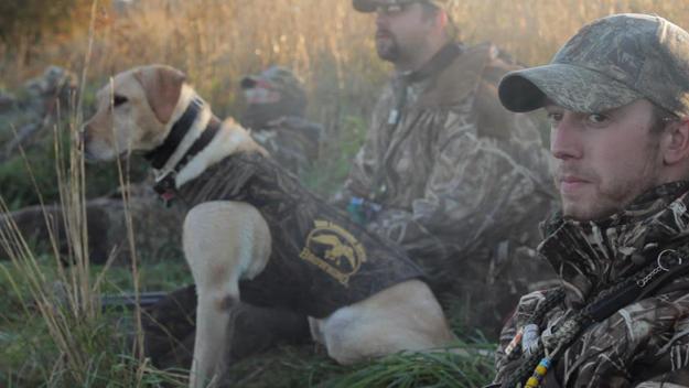 Duck hunting at first light