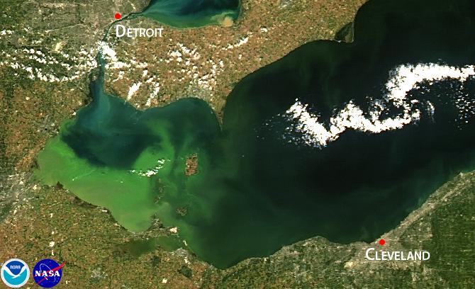 Satellite image of 2013 intense bloom, concentrated in Lake Erie's western basin.