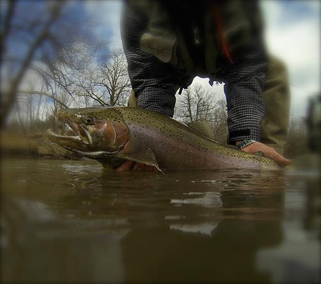 Fishing: 2nd place