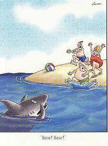 Farside shark bear