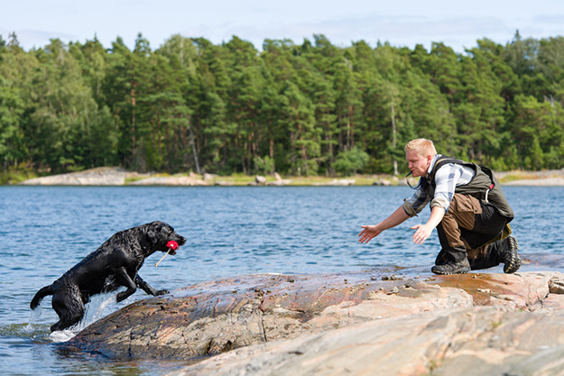 Dog sense: How to make your retriever a good swimmer