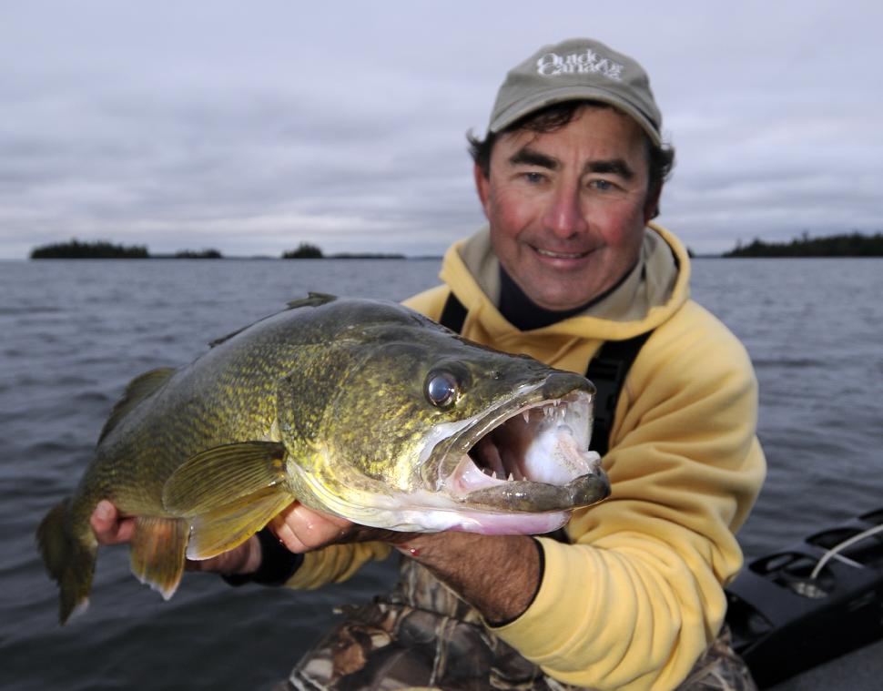 You can determine everything you need to know about a walleye by looking into its eyes